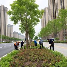 世界杯官网 武义县道路两旁绿化工程